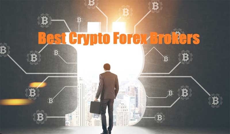 Best Forex and Crypto Brokers 2025