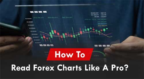 How to Read Forex Charts Like a Pro