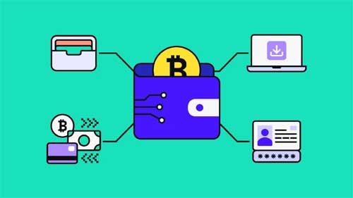 how to set up a crypto wallet for beginners